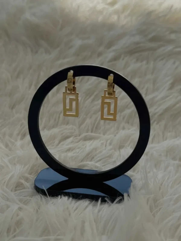 nice earrings